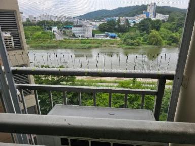 전북특별자치도 비둘기퇴치망 시공 사진 1