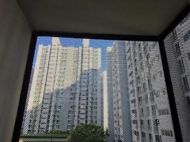 대전광역시 비둘기퇴치망 시공 사진 1