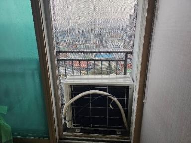 대전광역시 비둘기퇴치망 시공 사진